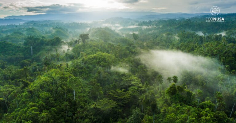 header_artikel_hutan_halmahera_02-1024x535