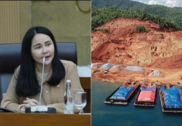 ImageMerge_Collage_20260211_112420308