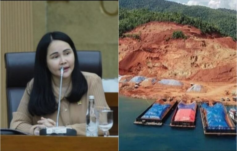 ImageMerge_Collage_20260211_112420308